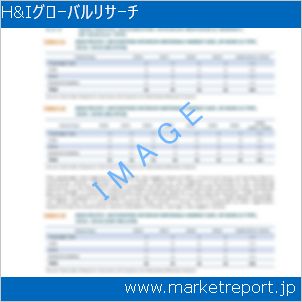 市場と産業調査レポートのイメージ